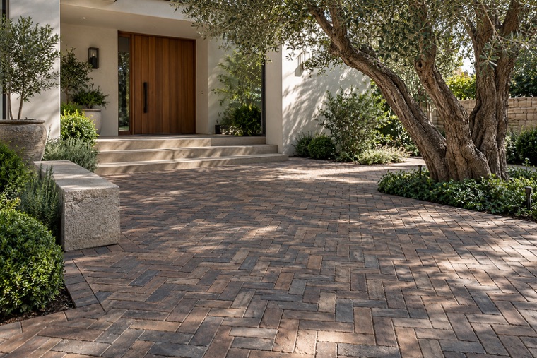 Herringbone Paver Courtyard and Sculptural Tree